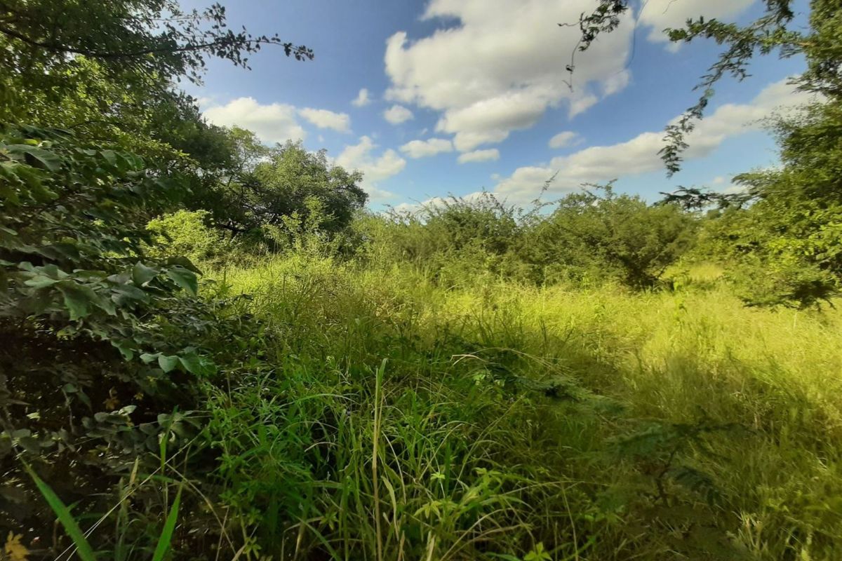 Stand for sale in Gravelotte - Photo 3