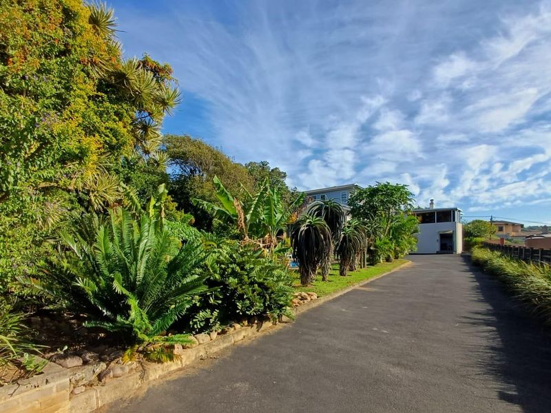 Sea Views, Space & Solar Living – The Ultimate Shelly Beach Entertainer’s Dream - Photo 6