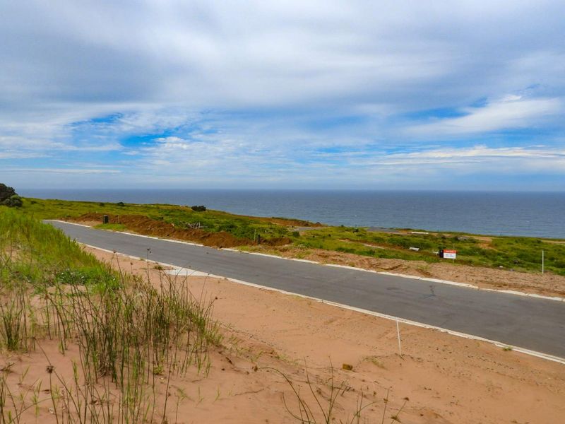 Seaton Magic with Seaviews - Photo 5