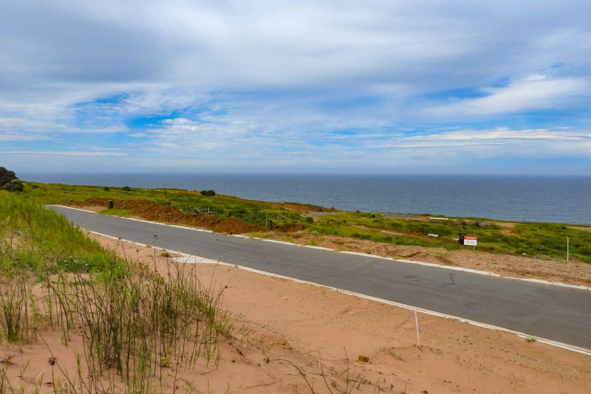 Seaton Magic with Seaviews - Photo 5