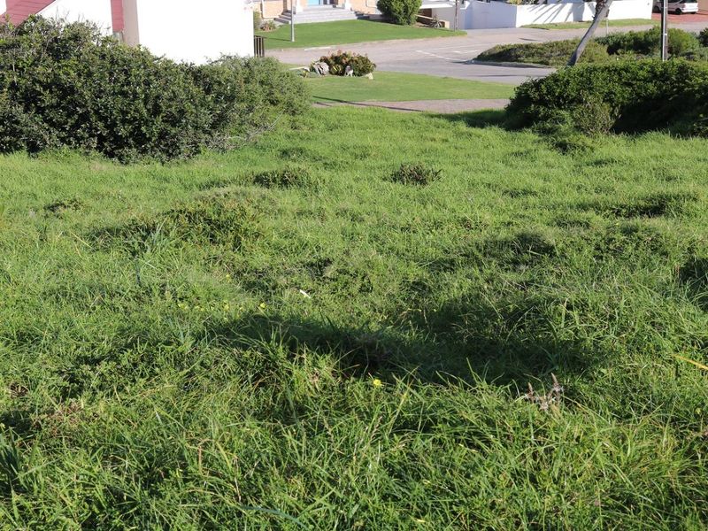 Vacant Land For Sale In Dana Bay - Photo 2