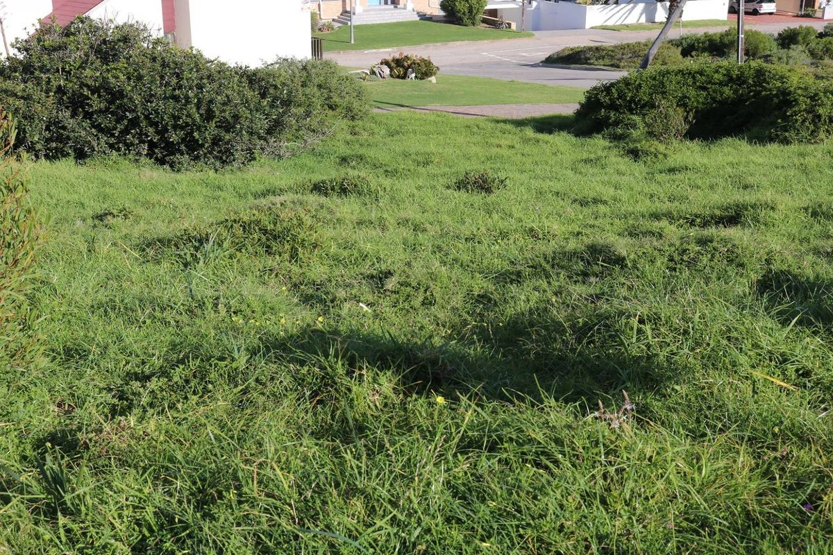 Vacant Land For Sale In Dana Bay - Photo 2