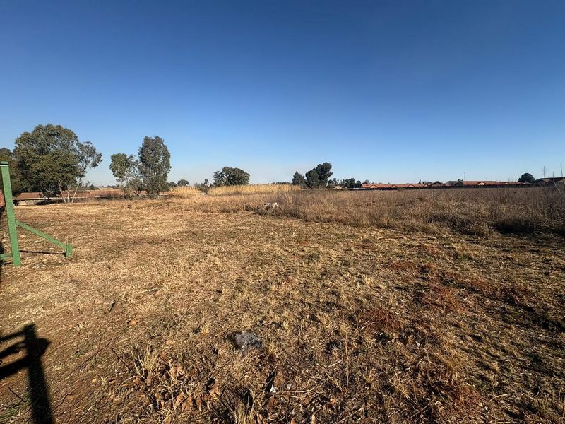 A wide-angle view of a vacant residential plot featuring dry grass and surrounding trees under a clear blue sky.