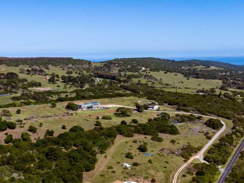 A Rare Lifestyle Escapes Minutes from town Country Living! - Photo 9