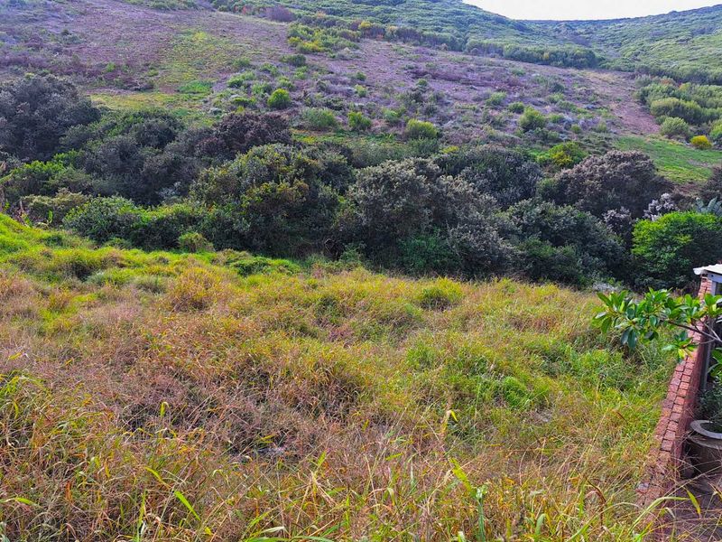 1090m2 Vacant Land for Sale in Dana Bay - Photo 5