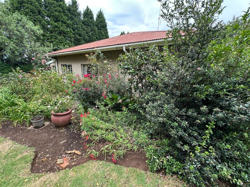 OFF-GRID INVESTMENT SMALL HOLDING – HELPMEKAAR, DUNDEE - Photo 2