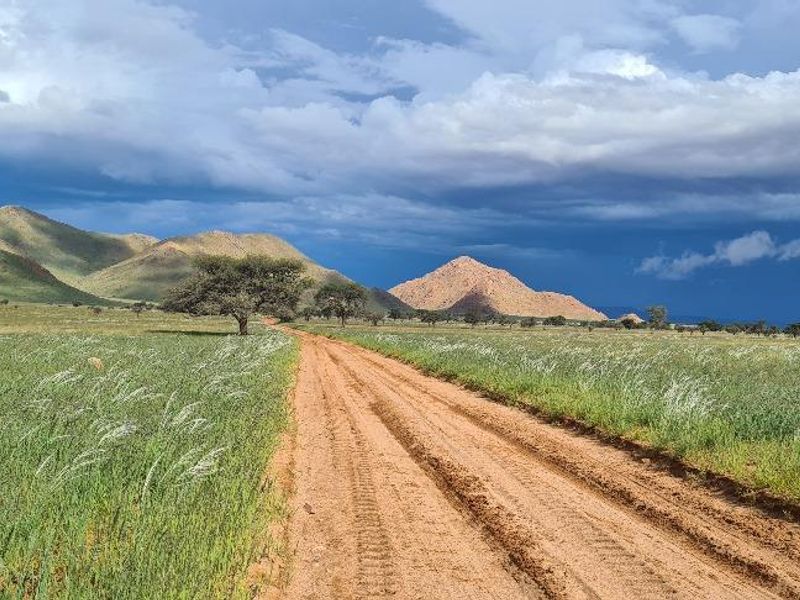 Farm, Wildlife & Serenity close to Helmeringhausen - Photo 3