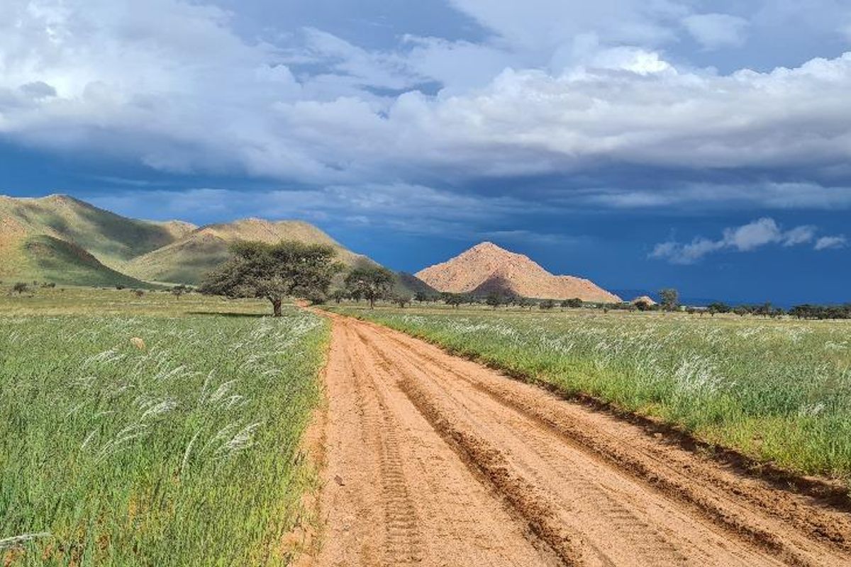Farm, Wildlife & Serenity close to Helmeringhausen - Photo 3