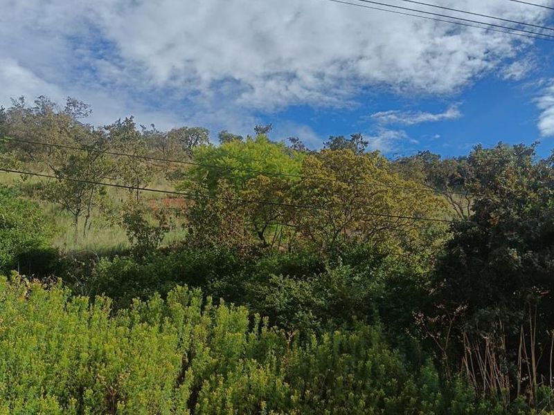 Prime 3 903m2 Development Opportunity – Fauna Road, Florauna - Photo 8