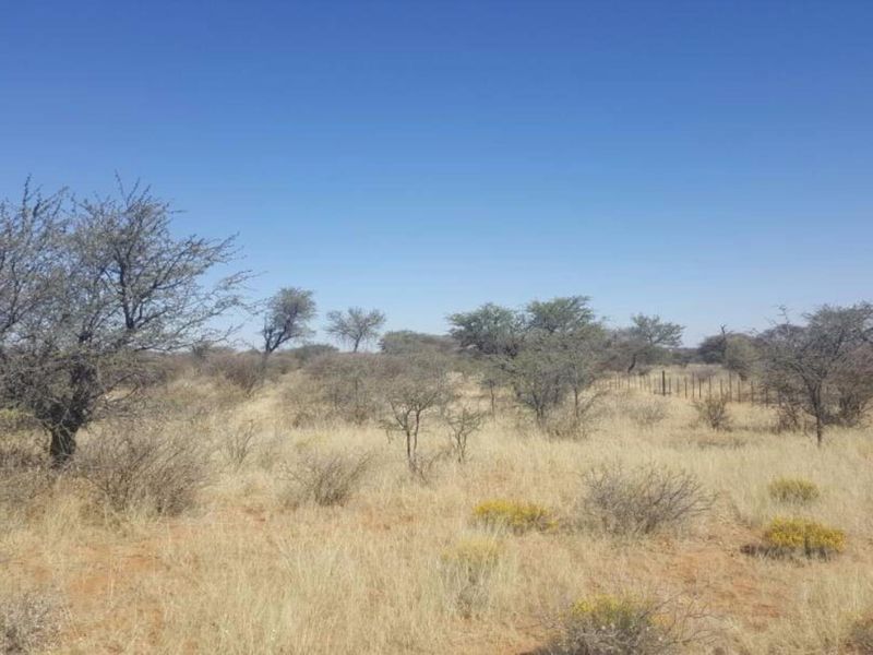 Smallholding South of Windhoek - Photo 6