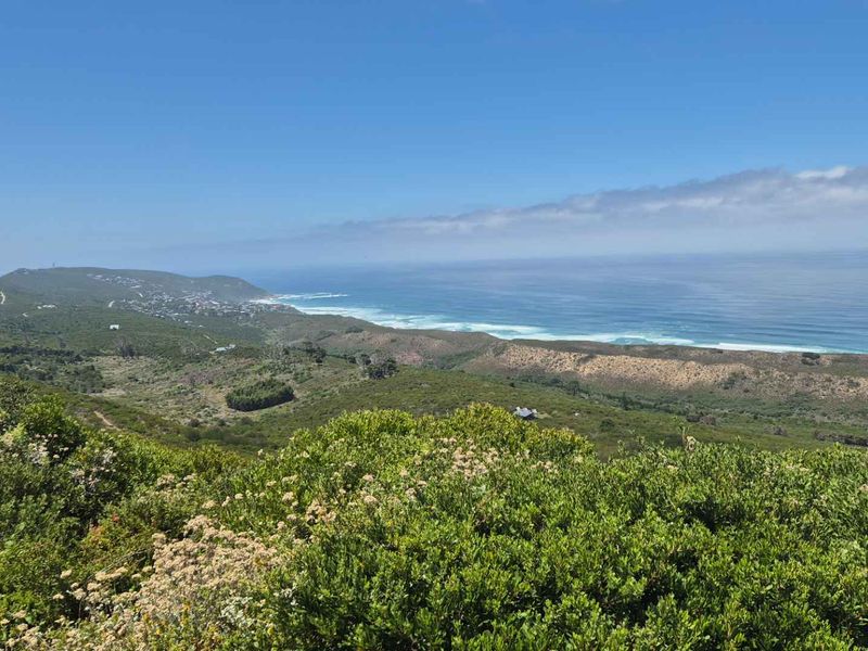 Build Your Coastal Dream Home in Tranquil Brenton on Sea - Photo 4