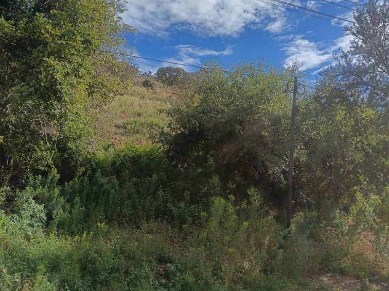 Prime 3 903m2 Development Opportunity – Fauna Road, Florauna - Photo 7