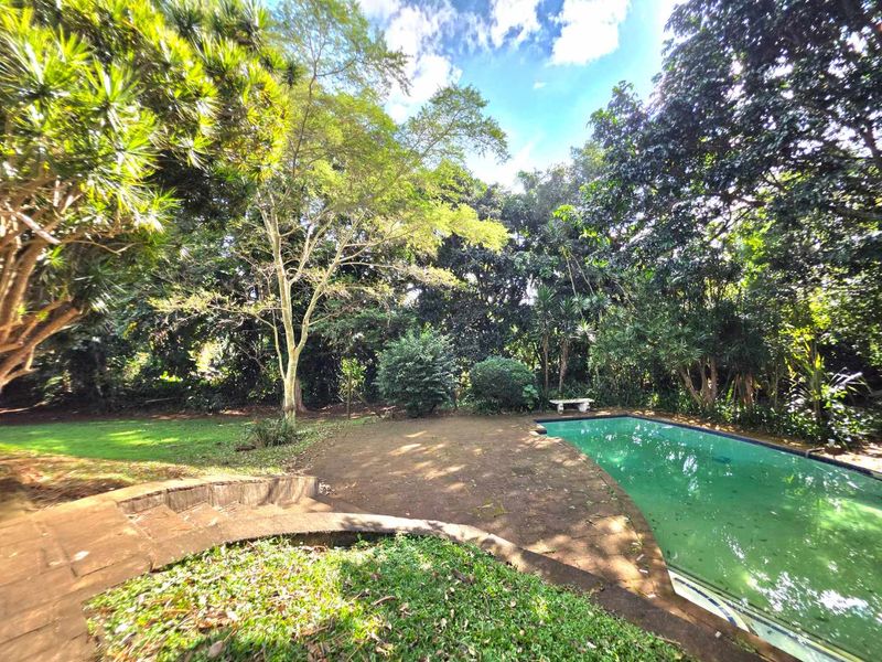 Affordable Entry Into the Kloof Property Market – Space, Position & Huge Potential - Photo 6