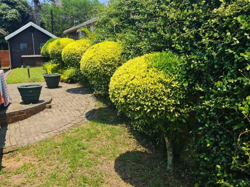 Spacious Family Home with Pool & Garden Oasis in quiet St Lucia 🏡🌳 - Photo 10