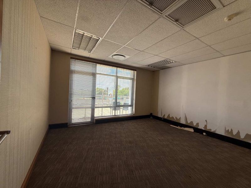 An empty office space featuring a suspended ceiling, carpeted flooring, and large windows with blinds, currently requiring wall finish repairs.