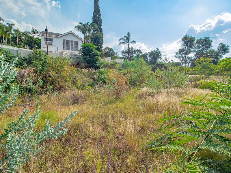 Large stand in Waterkloof Ridge for development - Photo 8
