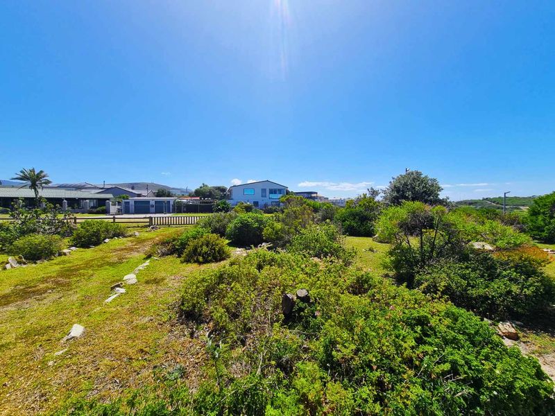 Rare Ocean Front Opportunity with Panoramic Mountain Vistas - Photo 3