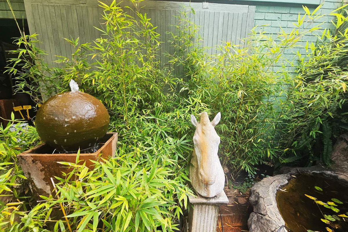 Four stands with exceptional opportunity with available in Forest Hill, Johannesburg. - Photo 4