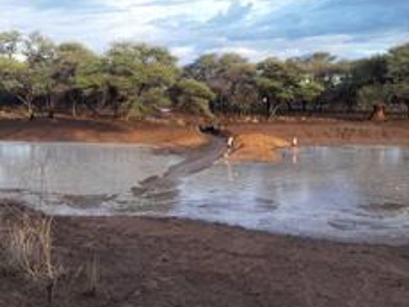 PROPERTY IN AREA OF OTJIWARONGO FOR SALE - Photo 3