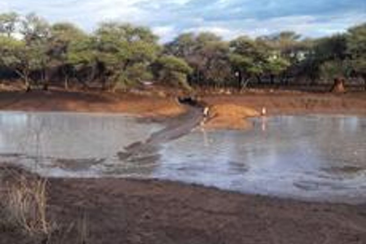 PROPERTY IN AREA OF OTJIWARONGO FOR SALE - Photo 3