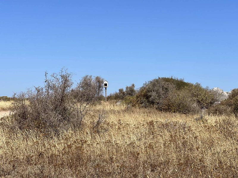 Elevated Lagoon-Views in Lifestyle Estate - Photo 7