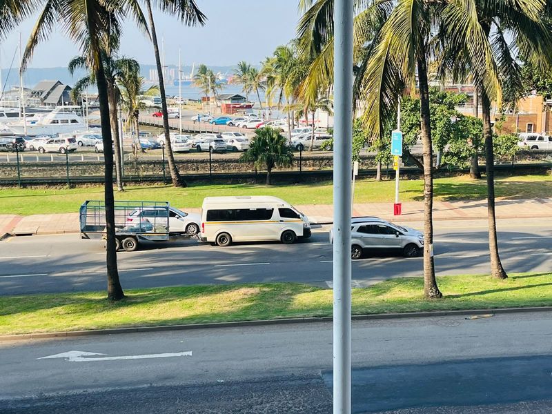 An elevated view overlooking a coastal road, parking area, and marina with palm trees in the foreground.