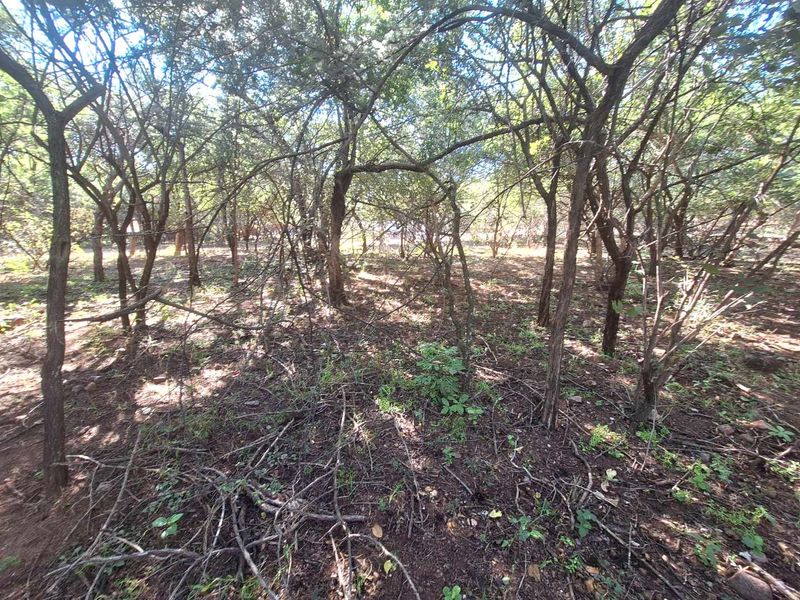 460m2 Stand in Leeupoort - Natures Perfect Canvas - Photo 3