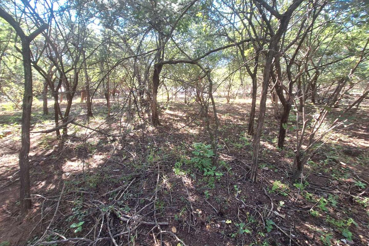 460m2 Stand in Leeupoort - Natures Perfect Canvas - Photo 3