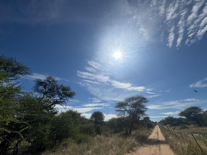 A scenic view of a dirt access road winding through the natural bushveld landscape on the farm property.