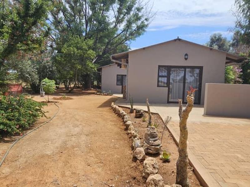 Rear view of the property featuring a paved driveway, concrete patio area, and established garden surroundings with mature trees.