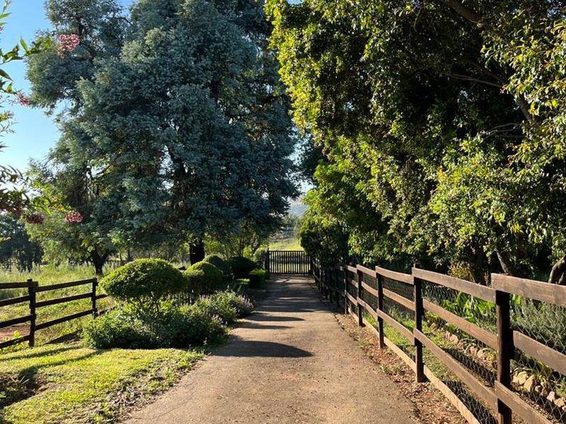 Unlock potential on 2.2ha. Ideal for lifestyle, multi-family living or business - Photo 5