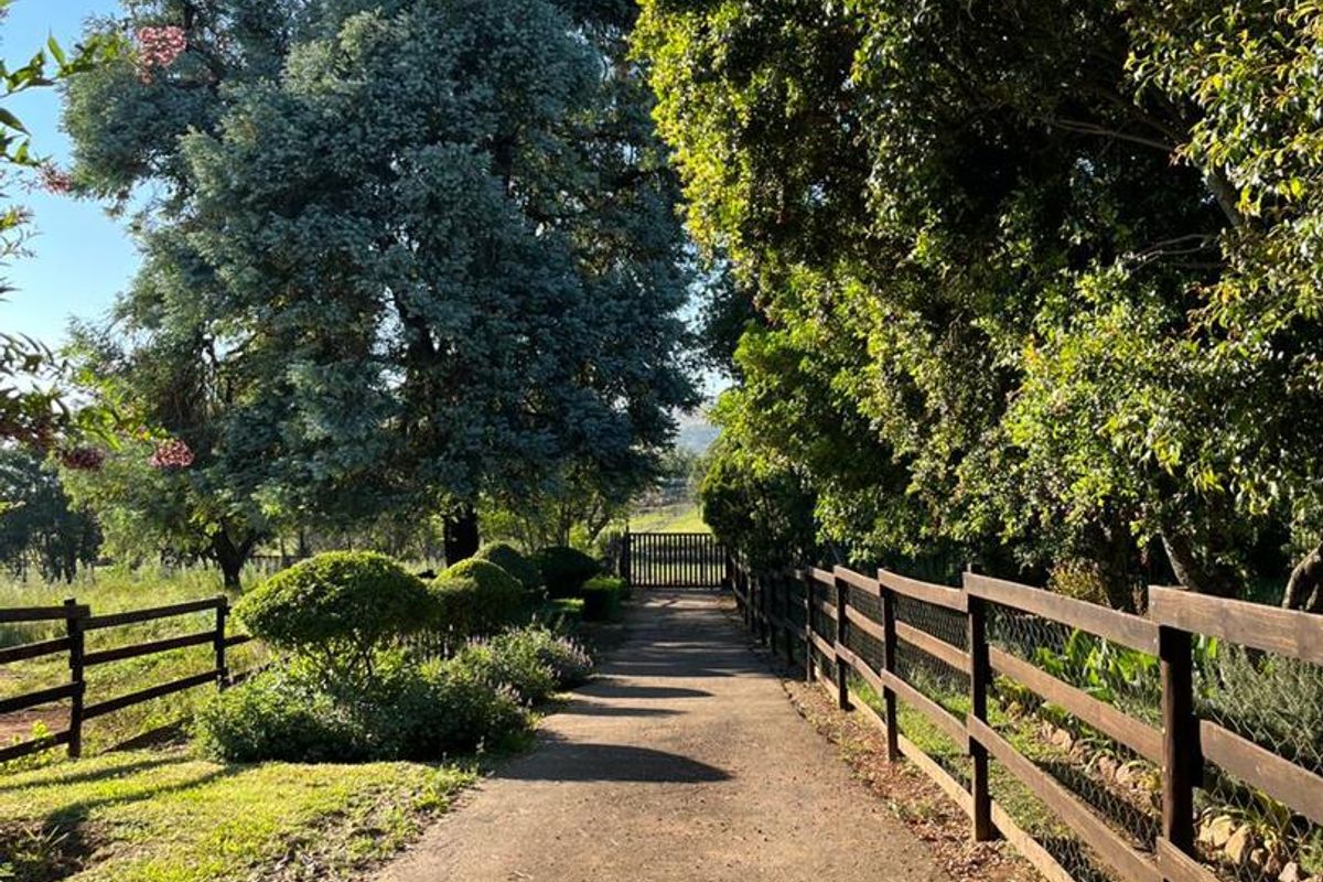 Unlock potential on 2.2ha. Ideal for lifestyle, multi-family living or business - Photo 5