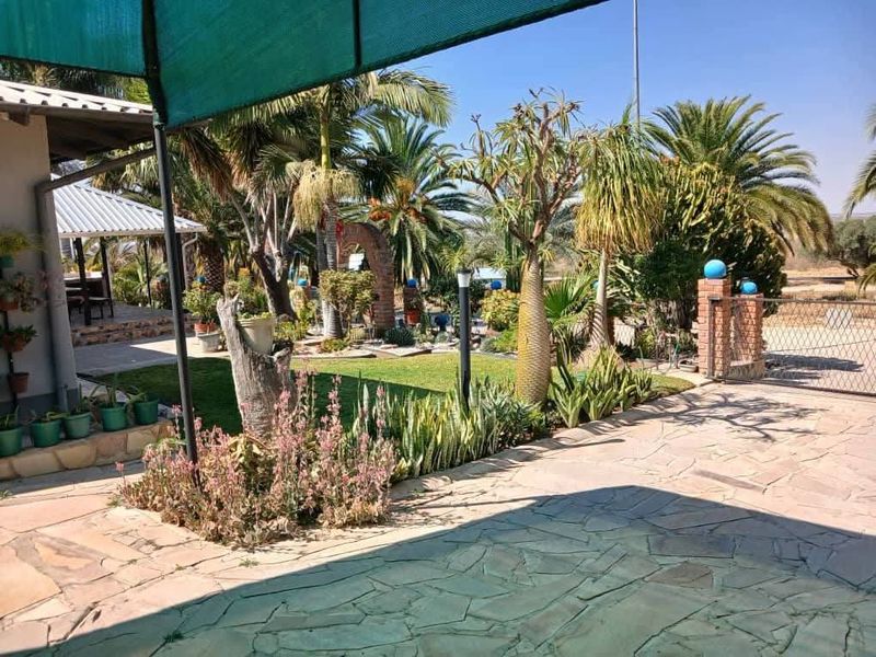 A well-maintained garden area featuring paved patio space, established palm trees, and a secure brick boundary wall with metal gate access.