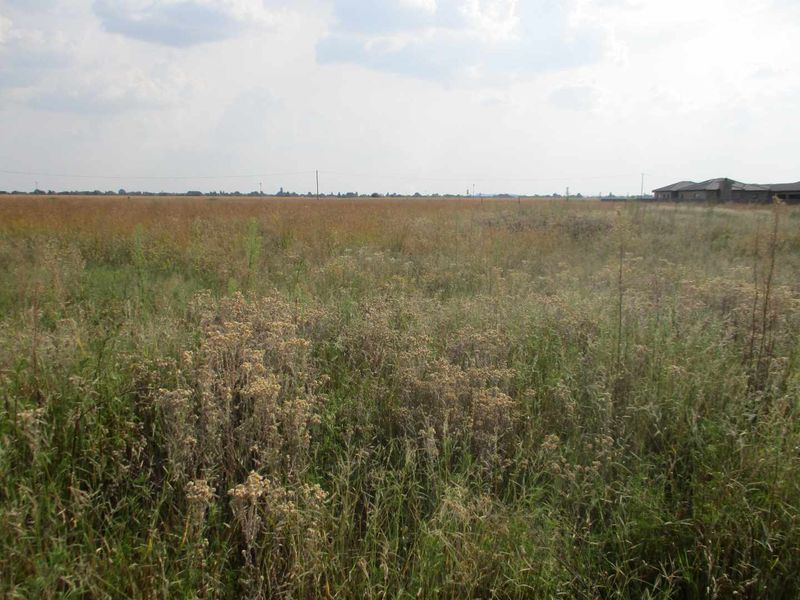 A wide-angle view of a large, undeveloped residential plot of land featuring natural grassland and open space.