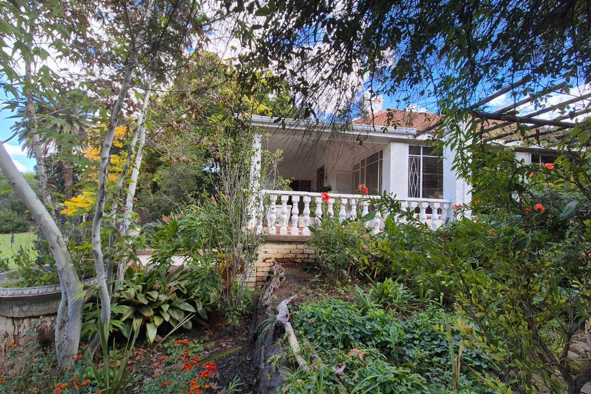A view of the rear patio featuring a white balustrade, set within a lush, established garden with mature trees and shrubs.