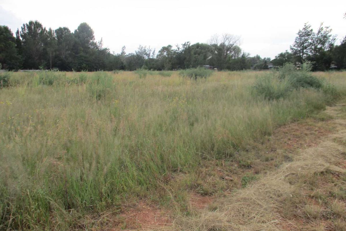 Enyoy the country atmosphere in Henley - Photo 5