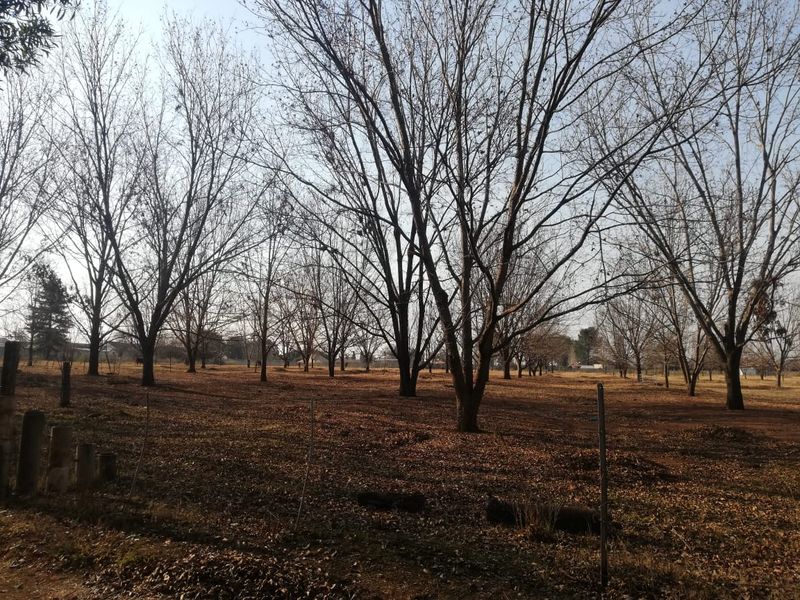 8.6ha Riverfront Farm | 400 Pecan Trees & Multiple Income Streams - Photo 2