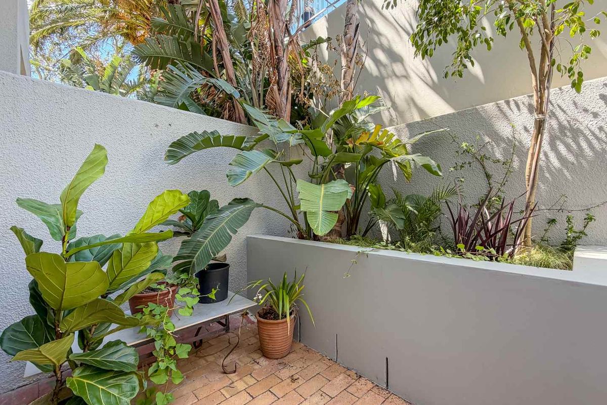 A private rear courtyard area featuring brick paving and a built-in raised concrete planter box with established greenery.