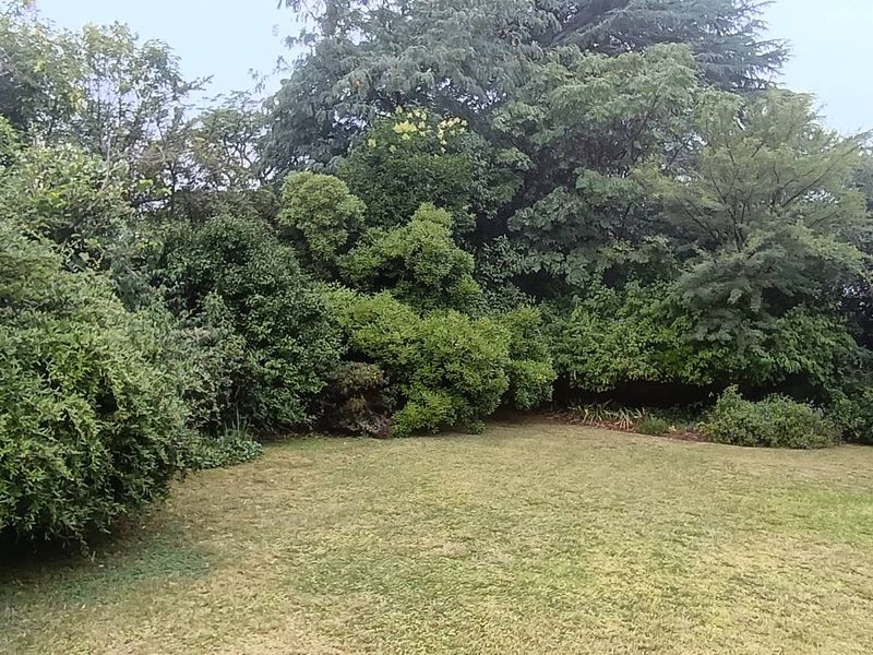 Stunning 3-bedroom house in Observatory for sale - Photo 4