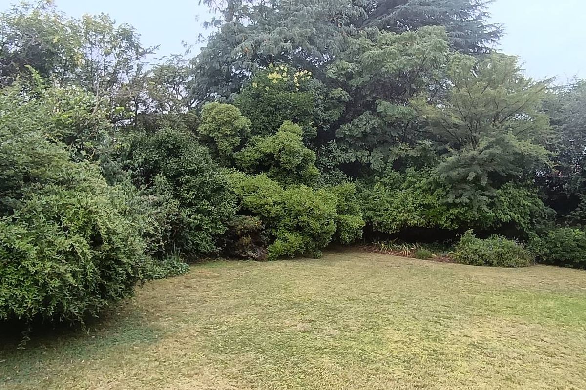 Stunning 3-bedroom house in Observatory for sale - Photo 4