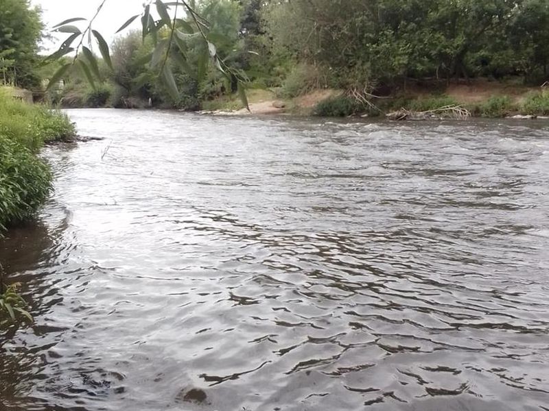Water front Small holding with an ongoing business income - Photo 6
