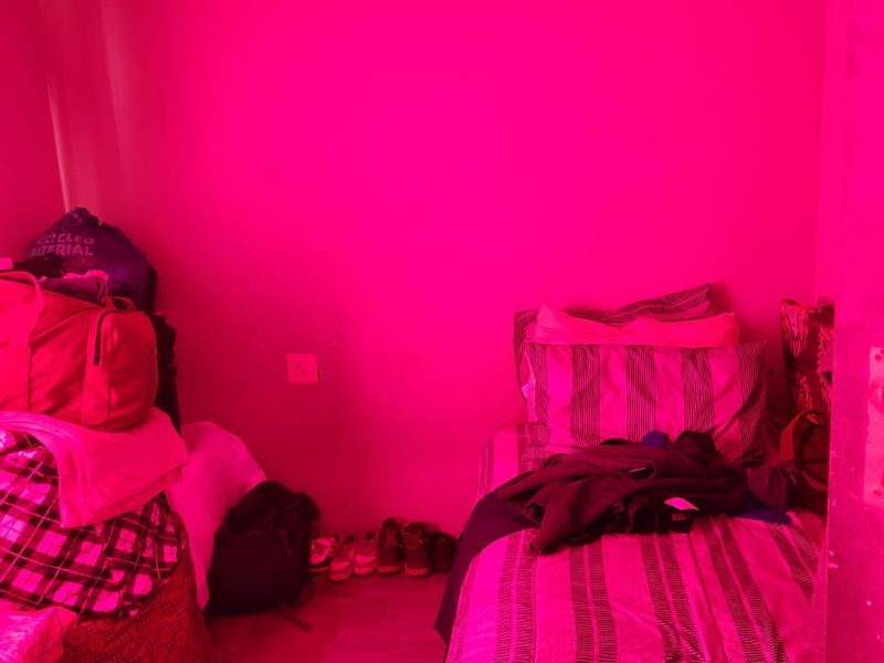 A bedroom interior featuring laminate flooring and a standard electrical outlet, currently obscured by heavy pink lighting.