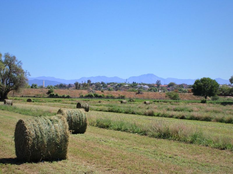 Wanted: Visionary Robust Investors/Developers!! - Photo 5