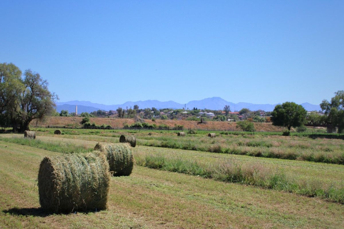 Wanted: Visionary Robust Investors/Developers!! - Photo 5