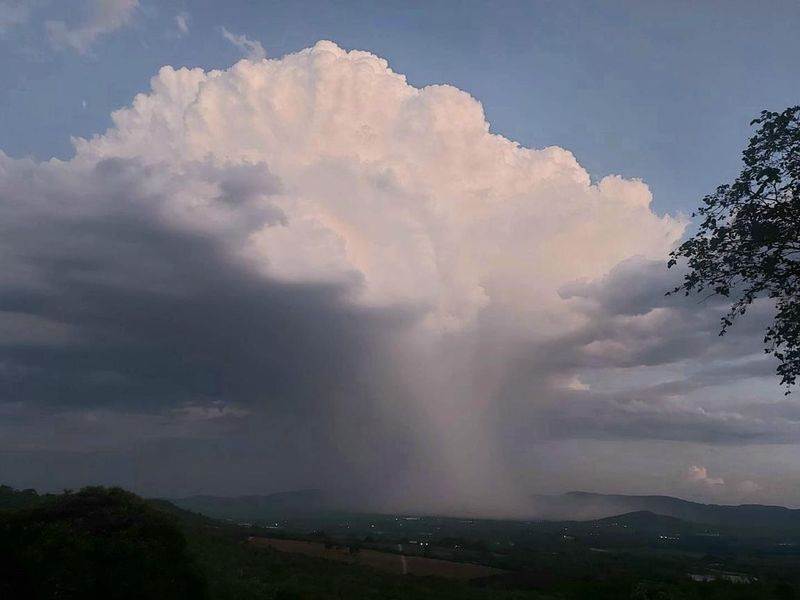 Bushveld Lifestyle Farm - Photo 6