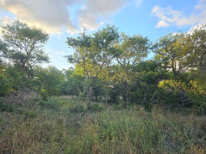 Vacant Land in MODITLO NATURE RESERVE - Photo 9