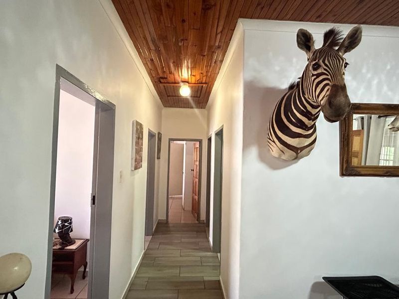 EXCLUSIVE MANDATE - Dual-Title Gem: Flexibility & Investment in One - Photo 5