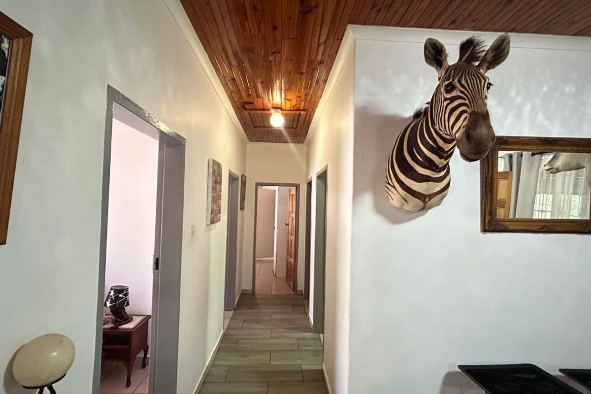 EXCLUSIVE MANDATE - Dual-Title Gem: Flexibility & Investment in One - Photo 5