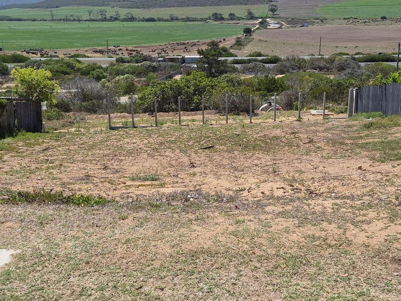 Prime North-Facing Stand in Reebok on the Garden Route - Photo 7