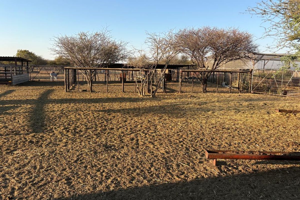 Grootfontein Farm For Sale - Photo 2